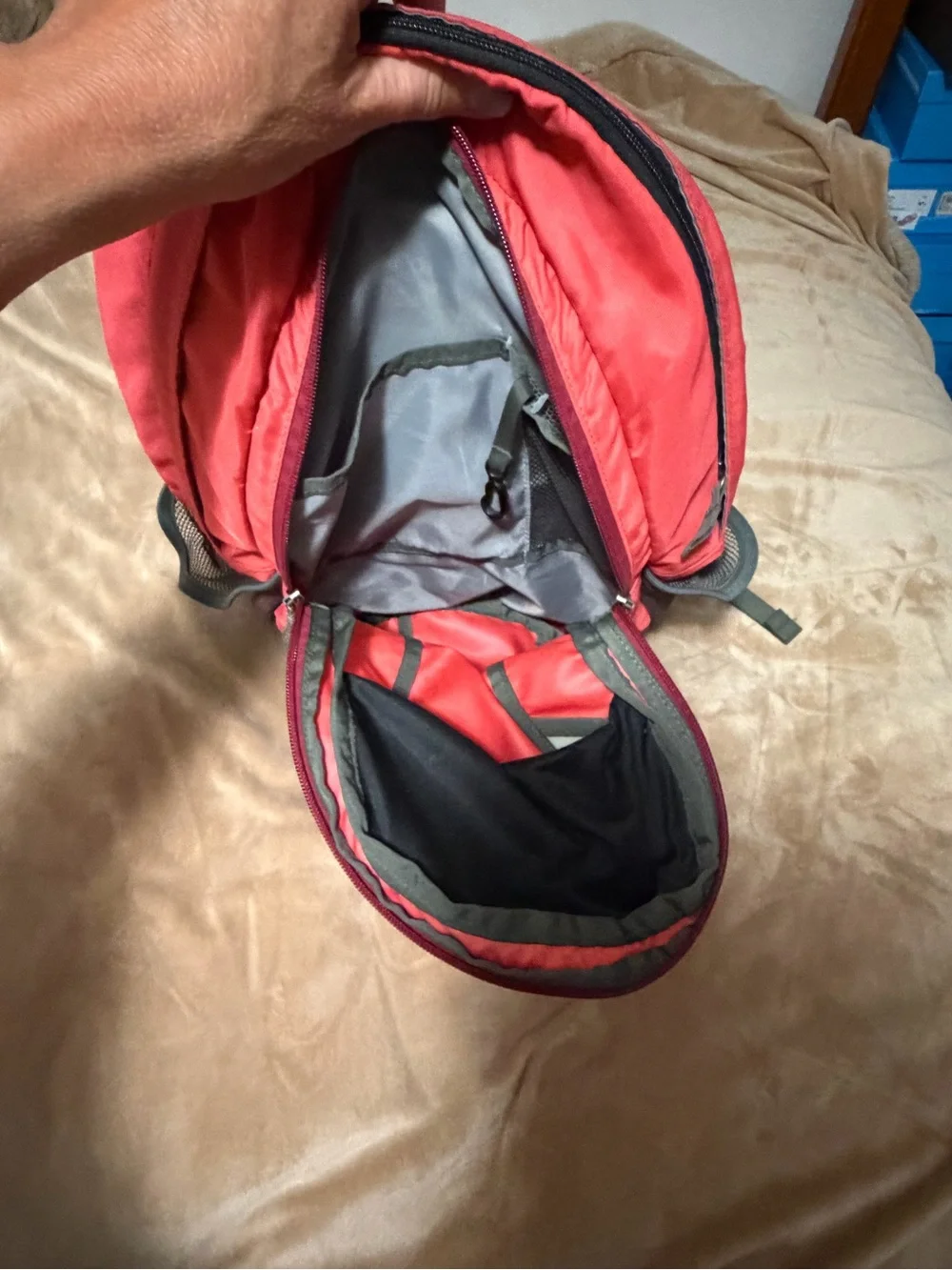 Patagonia Poco 12L Backpack in Red with Black Accents